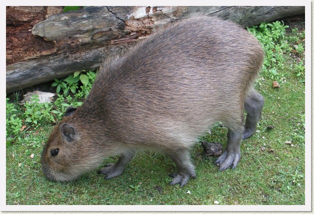 Další snímek