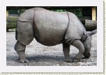 nosoroec indick-  Rhinoceros unicornis5 * 2951 x 1967 * (601KB)