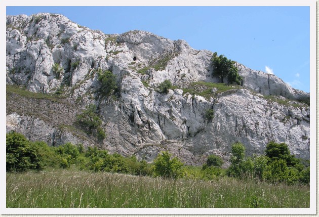 Dal�� sn�mek