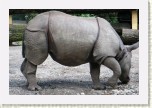 nosoro�ec indick�-  Rhinoceros unicornis5 * 2951 x 1967 * (601KB)
