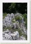 v�pencov� �krapy * 2065 x 3098 * (1014KB)